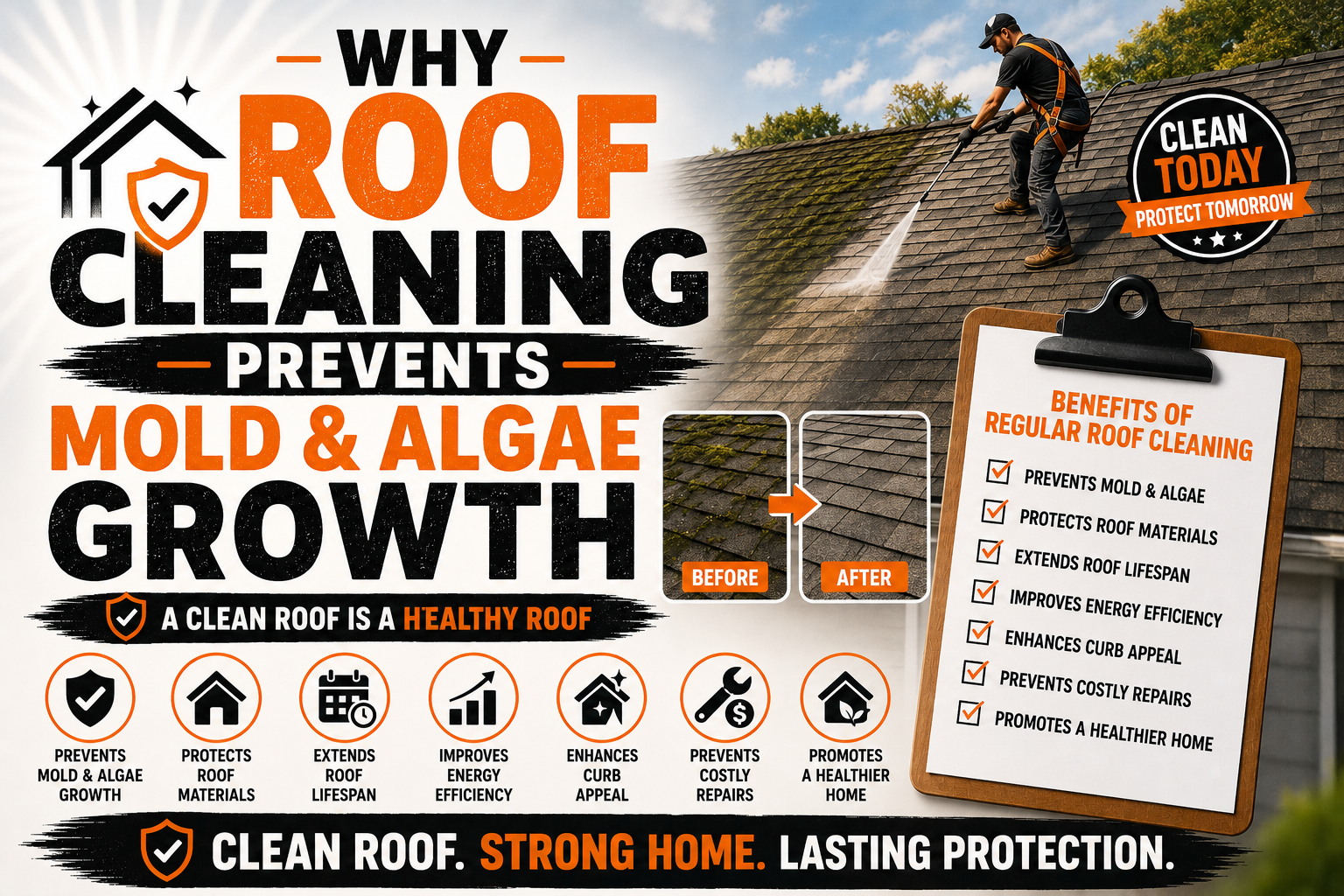 Why Roof Cleaning Prevents Mold and Algae Growth
